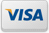 pepsized签证在线支付服务提供商按钮