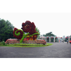 著名景点北京植物园