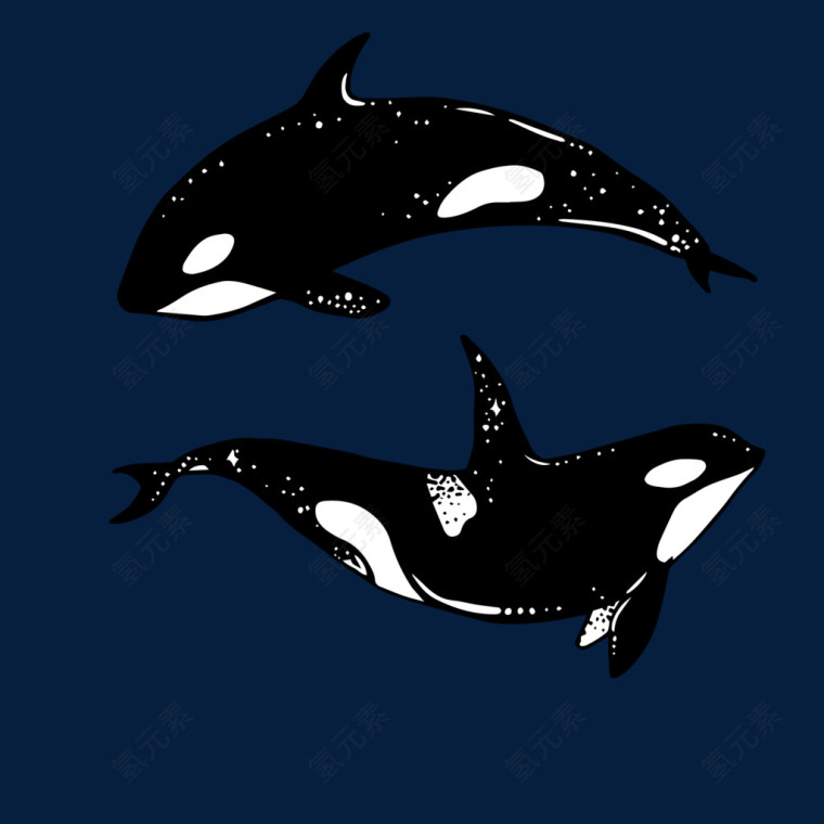 炫彩鲸鱼