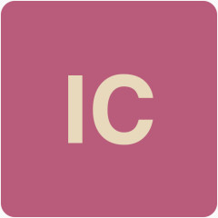 IC图标