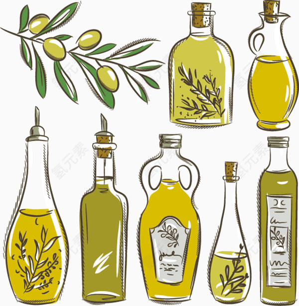 手绘橄榄和橄榄油