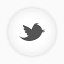 推特白色的轮filled-rounds-icons