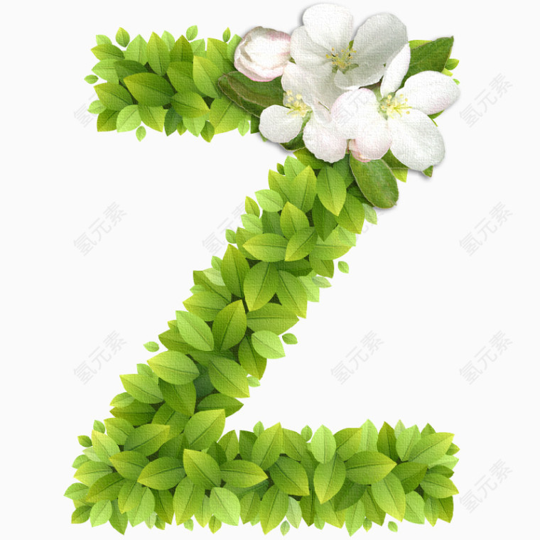 春意盎然的绿叶花卉字母Z 