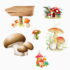 蘑菇指示牌 野生