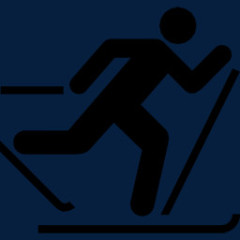 交叉国家滑雪the-noun-project-icons