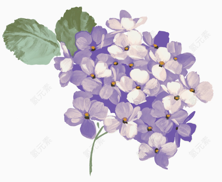 水彩紫色花