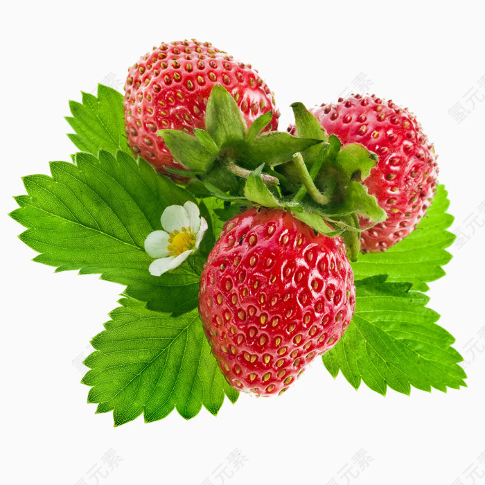 红色草莓绿叶水果图片