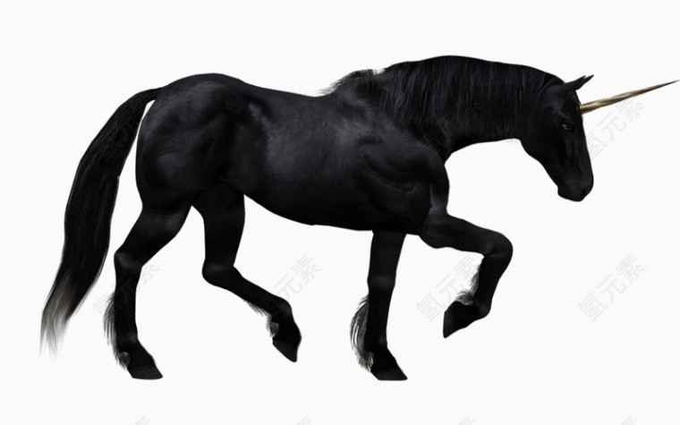 黑色奔跑的马匹