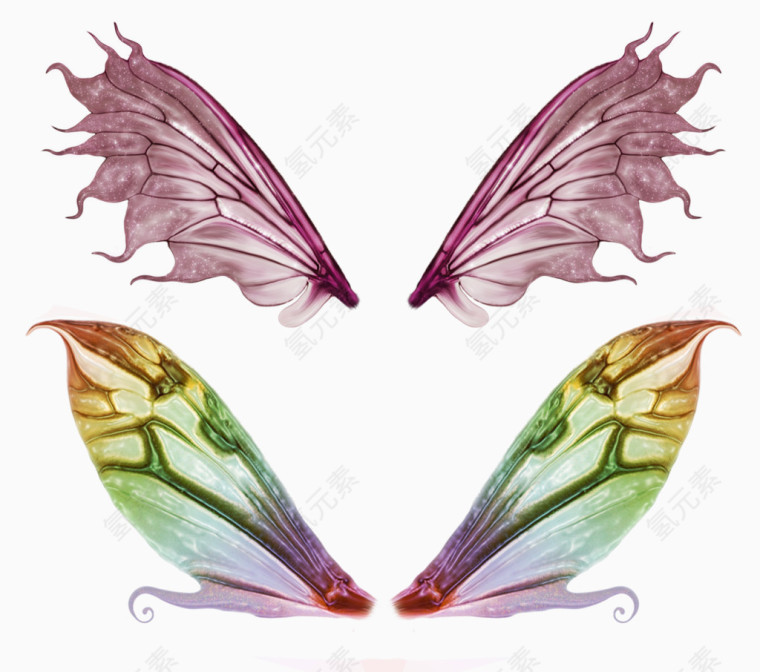 蝴蝶的翅膀PNG素材