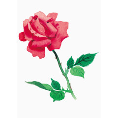 鲜花矢量素材抽象鲜花素材 卡通手绘红玫瑰