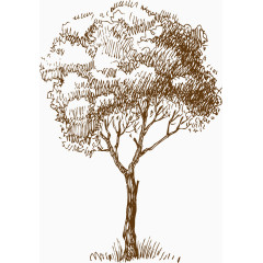 素描的木头树木