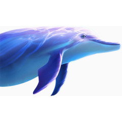 蓝色海底海豚