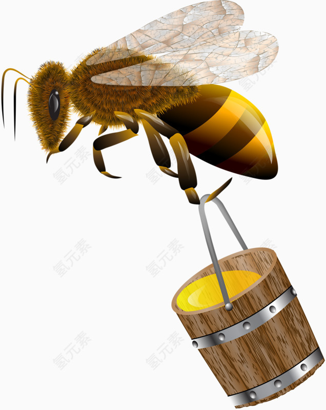 提着蜂蜜的小蜜蜂