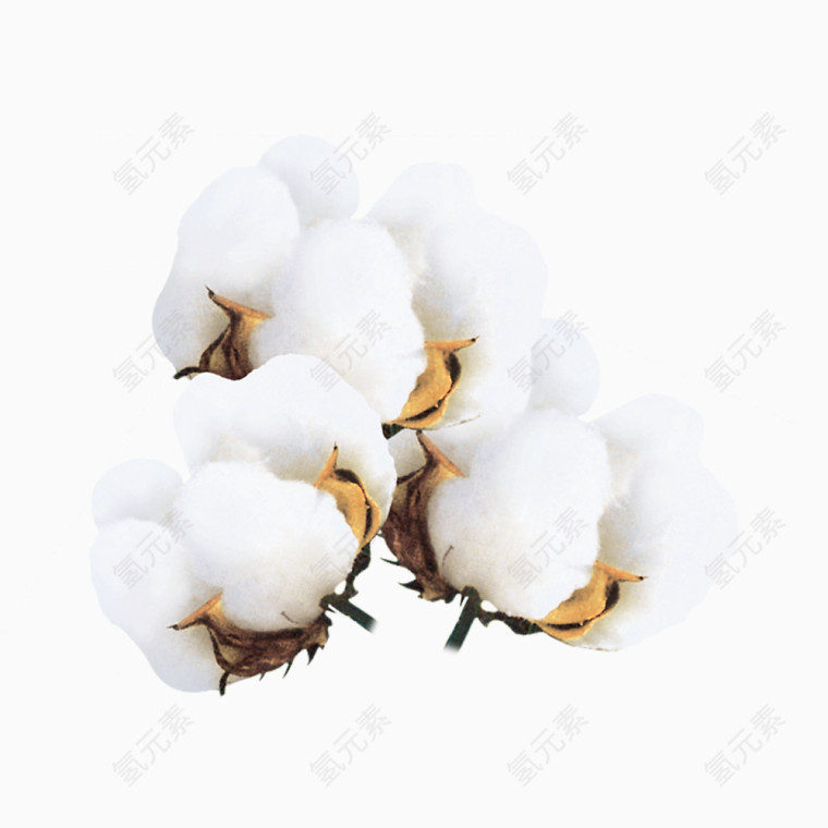 白色棉花团免抠素材