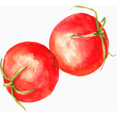 卡通手绘水彩西红柿