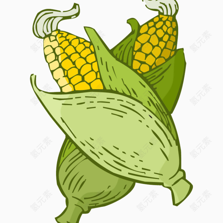 卡通植物玉米