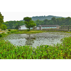 湖北武汉风景八