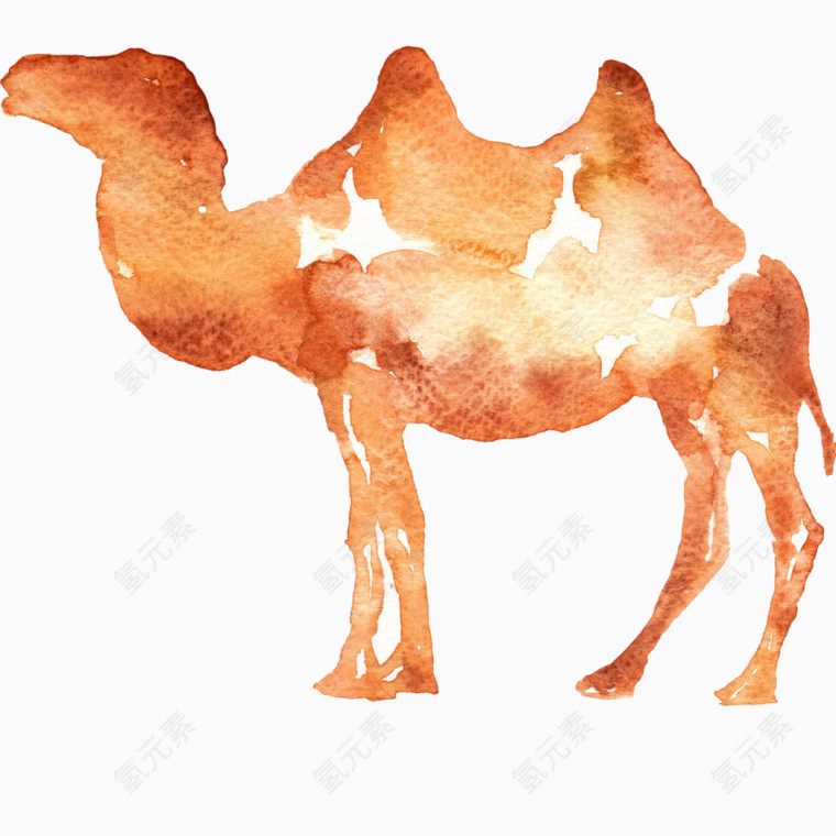 骆驼水彩画