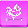 weathercock icon