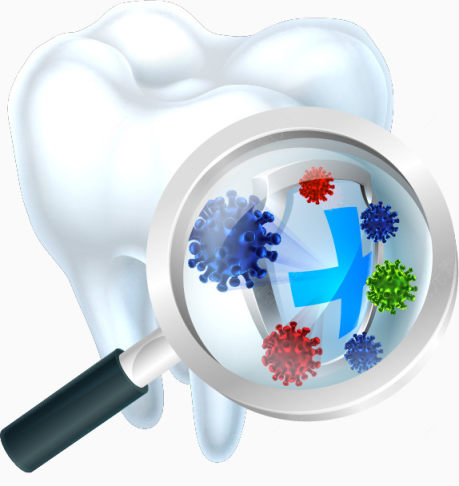 放大的牙齿细菌下载