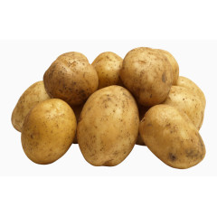 新鲜好吃的土豆
