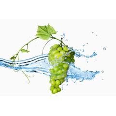 落在水里的绿提葡萄
