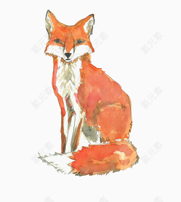 水彩图案可爱狐狸