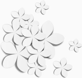 3D立体白花