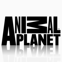 动物行星黑色镜子电视频道图标