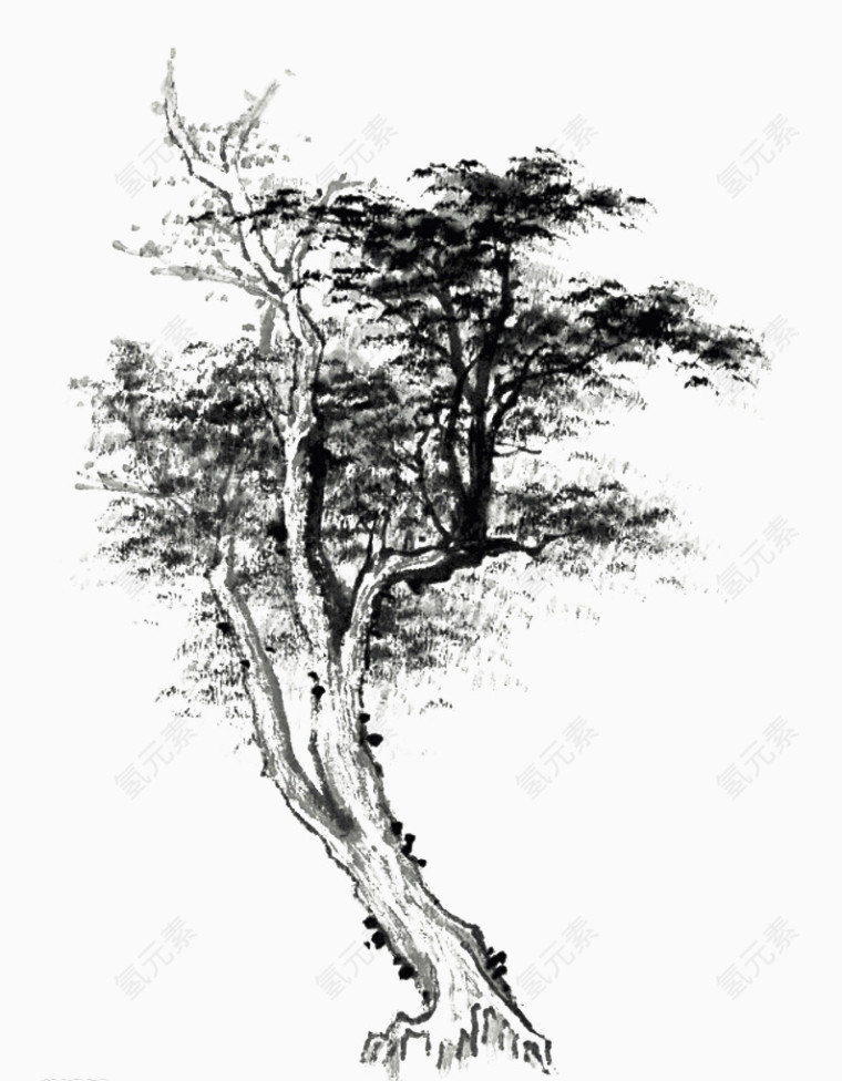 素描风格的树木