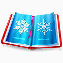 圣诞节书Exquisite-Christmas-icons