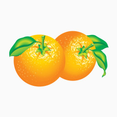 水绘逼真橙子
