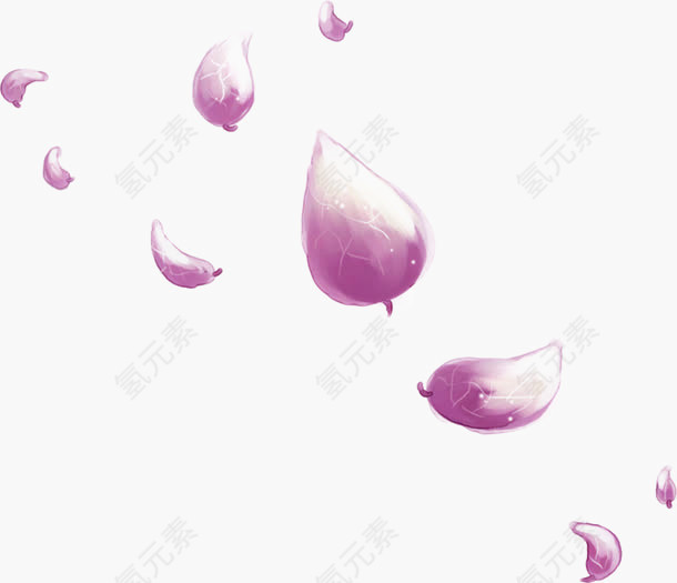 手绘紫色花瓣