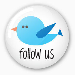 Twitter button follow us Icon