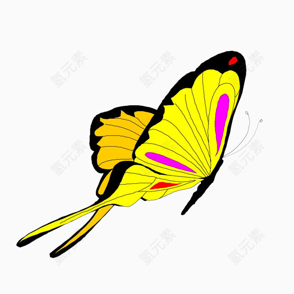 黄色侧面蝴蝶