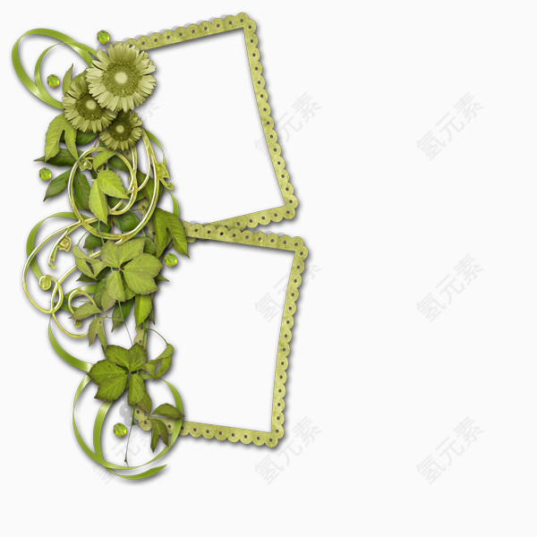 绿色菊花叶子装饰的边框