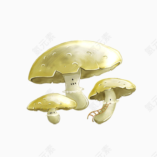 蘑菇素材图片