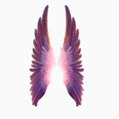紫色展翅羽翼