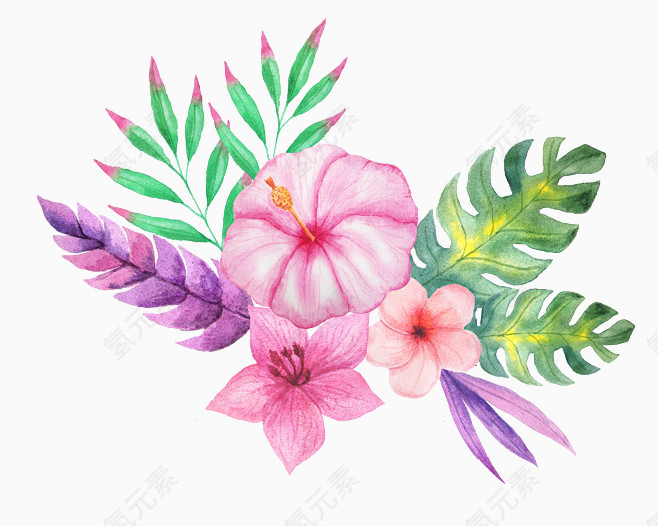 手绘玫瑰花花朵 植物 PNG 素材