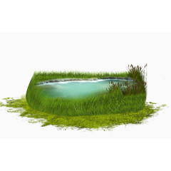 水草包围的池塘