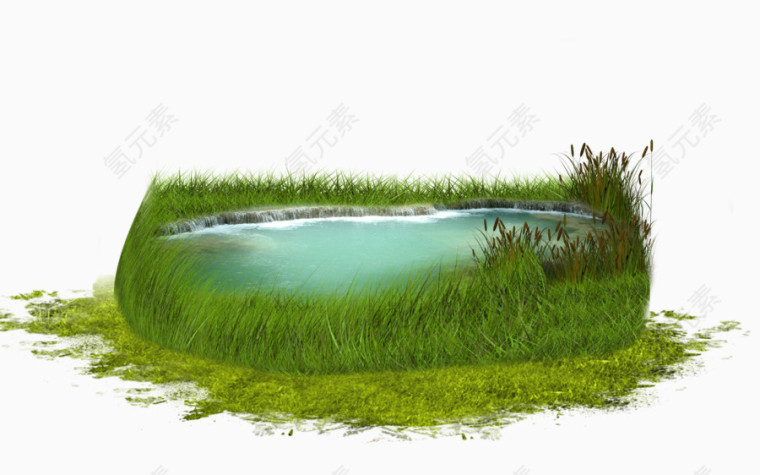 水草包围的池塘