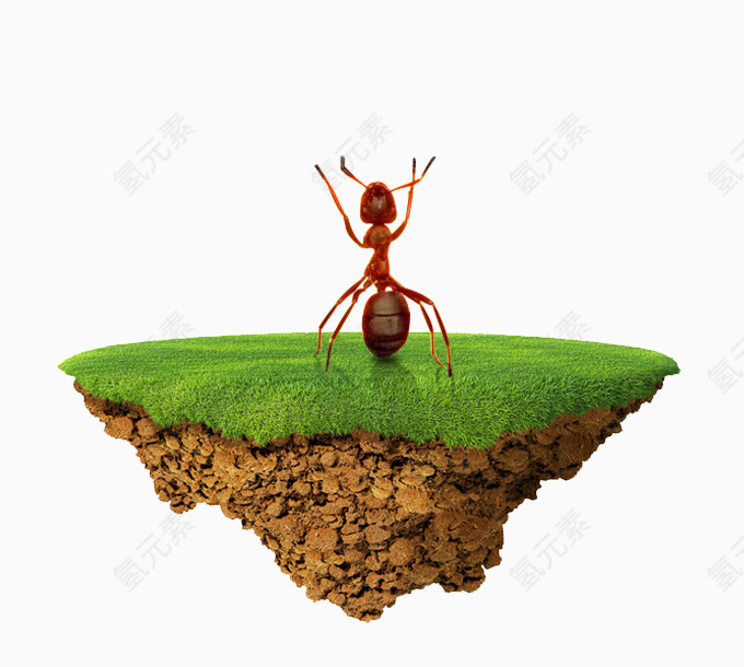 绿色的草地蚂蚁