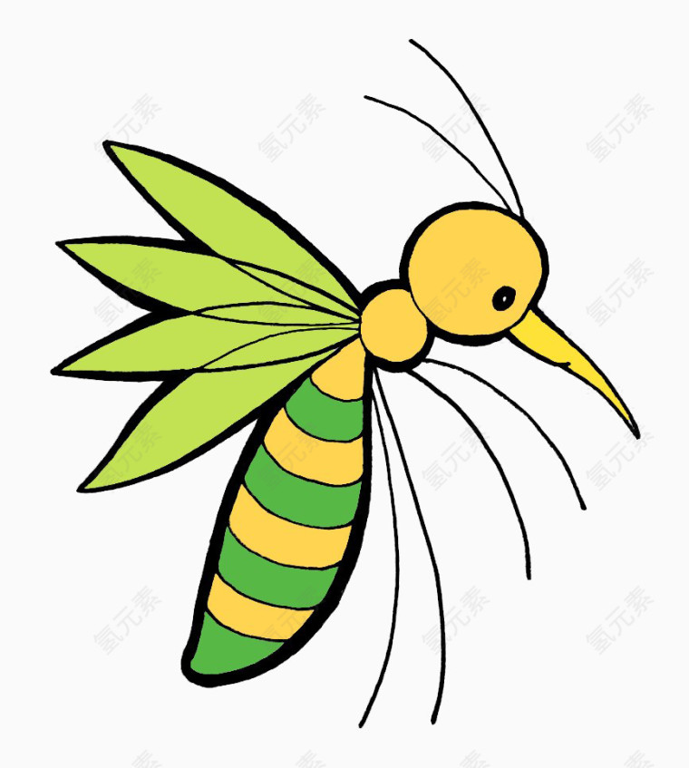 黄绿条纹的蚊子