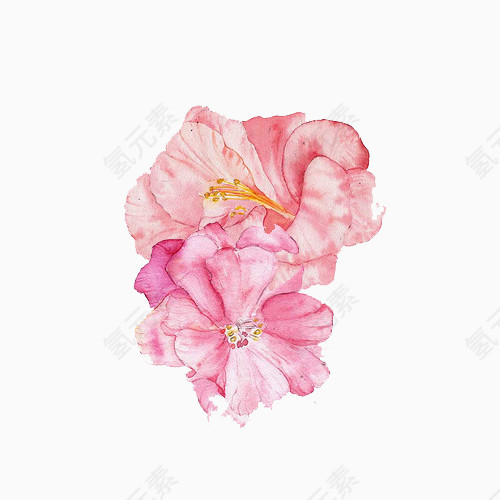 小清新简约水彩手绘粉红色花朵