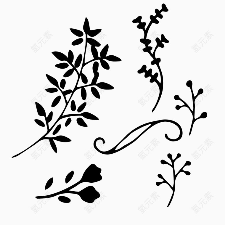手绘线稿植物