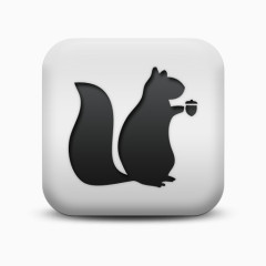 不光滑的白色的广场图标动物动物松鼠Animals-icons