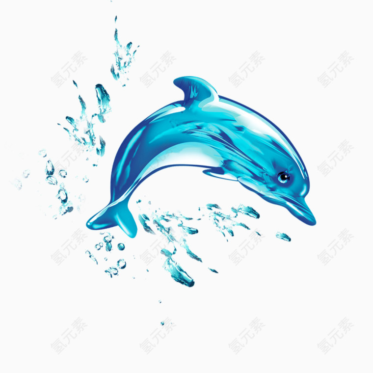 水元素海豚