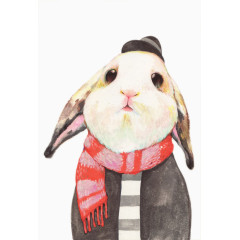 戴围巾的垂耳兔