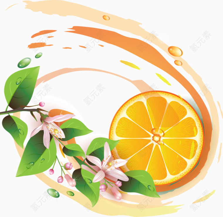 橙子手绘水果花朵