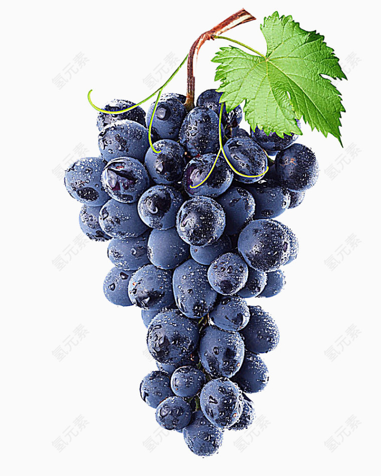 夏季水果紫色葡萄